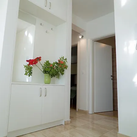 Ruzica ماكارسكا