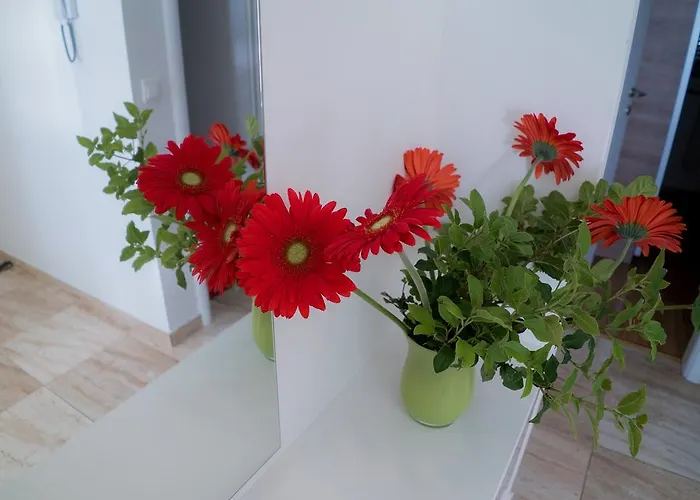 Ruzica Appartement *